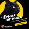 Черная пятница 24.11.19-03.12.19